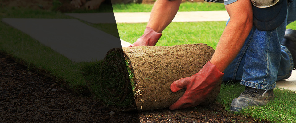 Whitestown Landscapers
